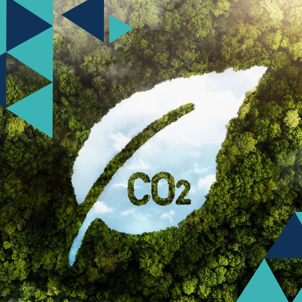 Sürdürülebilirlik